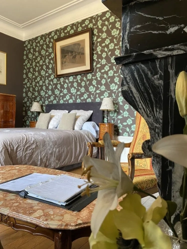 Standard Double room with balcony and with garden view