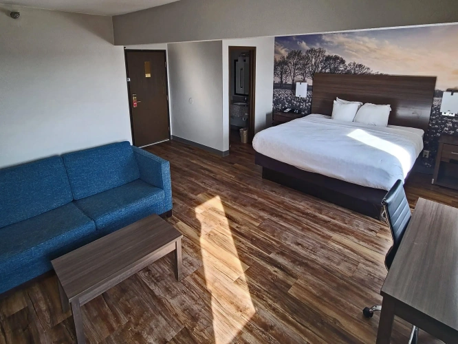 Standard Double room