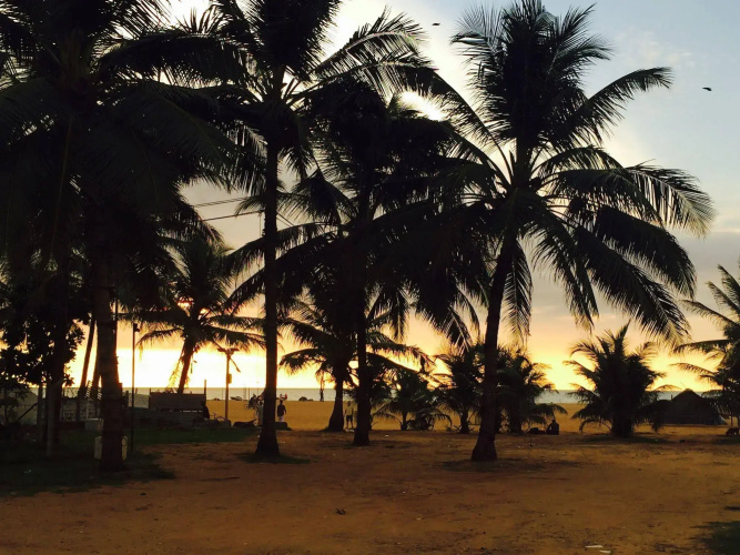 Adara Negombo