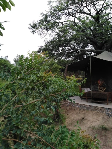 Tent