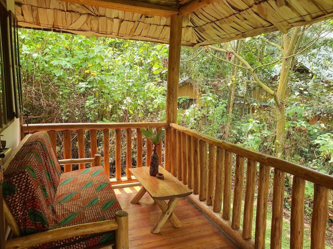 The Gorilla Resort