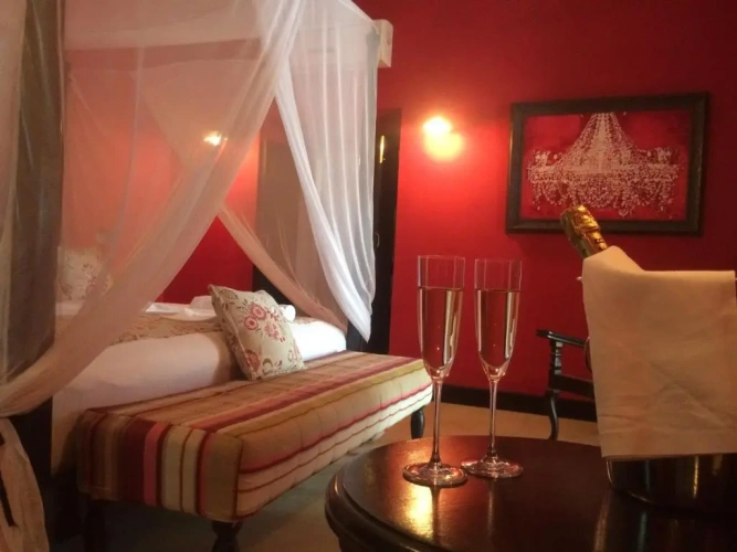 Premium Single room with sea view