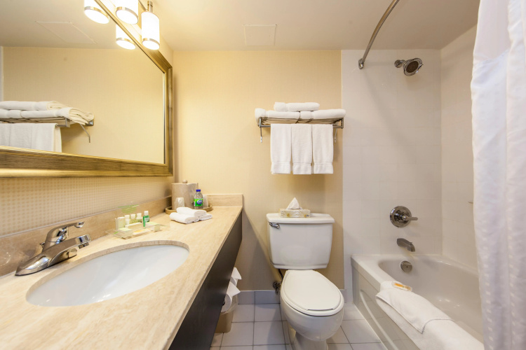 Holiday Inn Laval - Montreal photo 10