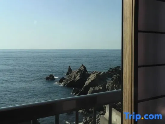 Standard room with ocean view