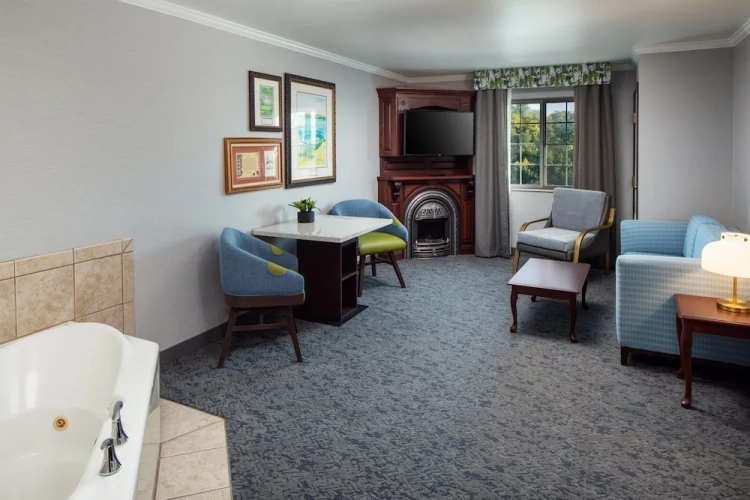 Premium Suite