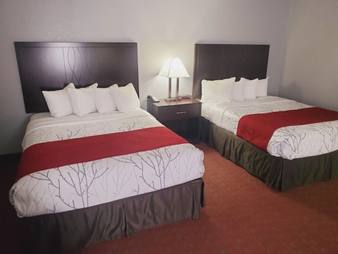 Executive Quadruple Suite
