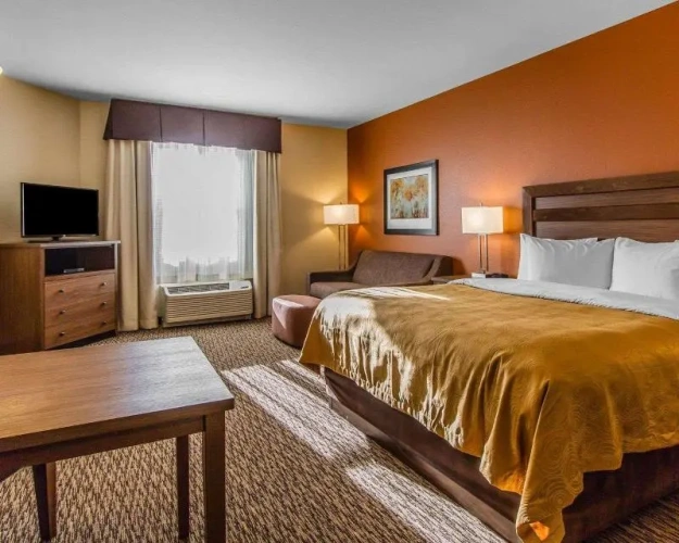 Standard Suite