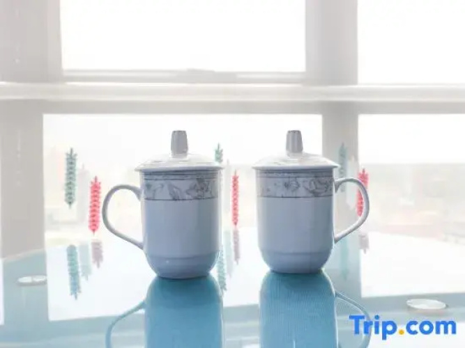 Shumei Homestay Haikou