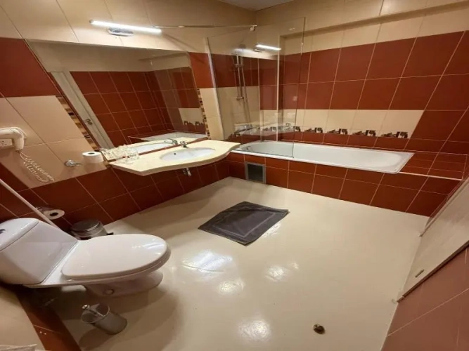 Deluxe Family room
