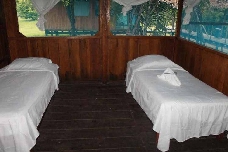 Tropical Adventures & Expeditions