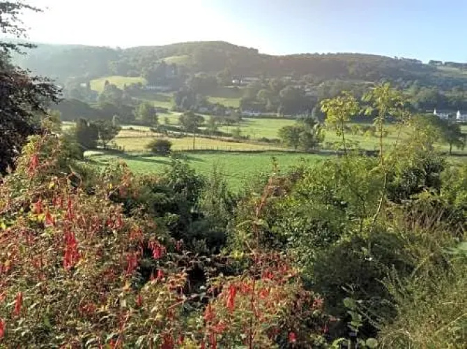Bryncoed