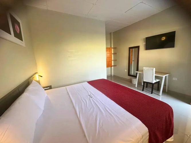 Standard Double room with garden view