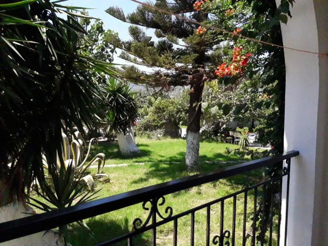 Dimitris & Haris Studios