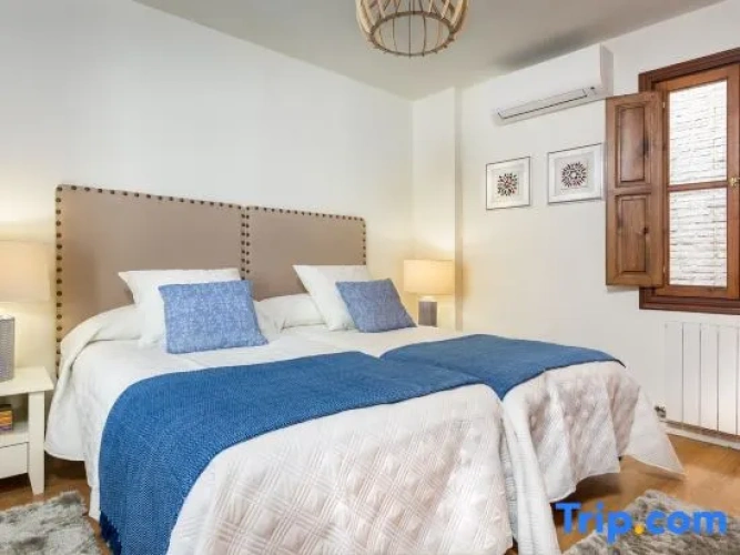 3 Bedrooms Apartment