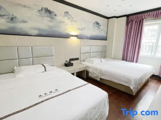 Standard Twin Family room