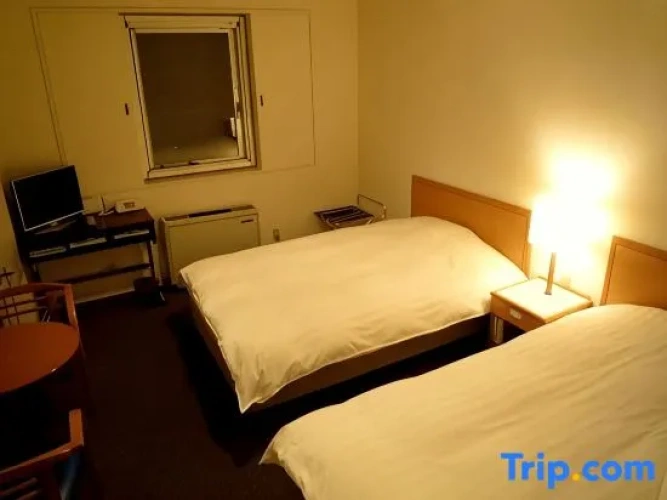 Standard Single room with ocean view