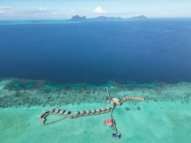 Jelly Sea Resort