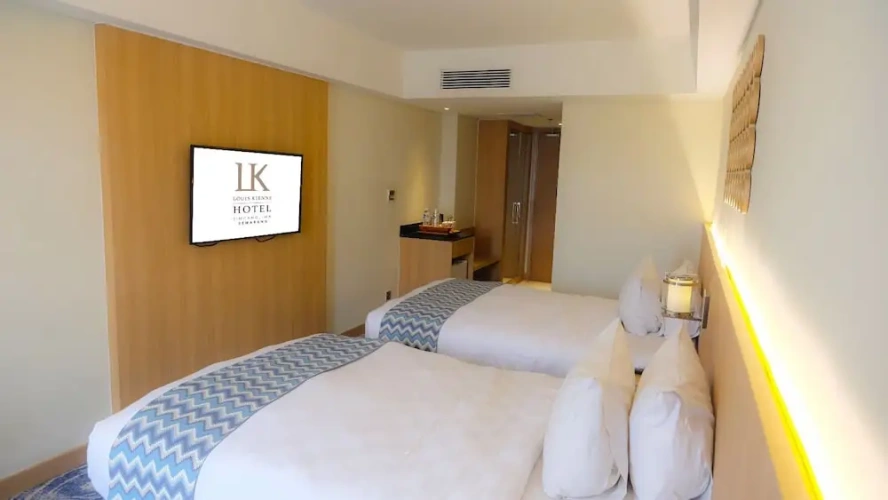 Deluxe Twin room with city view