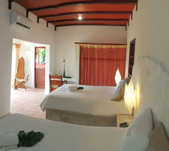 Standard Double room with garden view