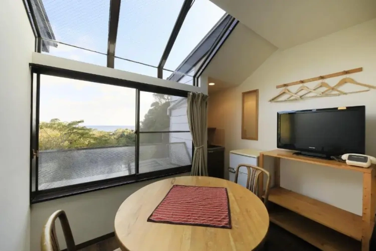 Standard Twin room with view