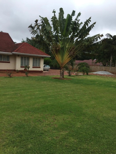 Palm villa