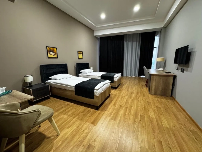 Standard Double room with city view