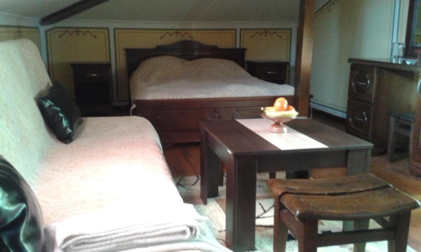 Standard Double room with balcony and with view