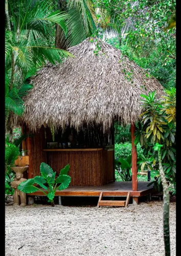 Villas Pura Vibra