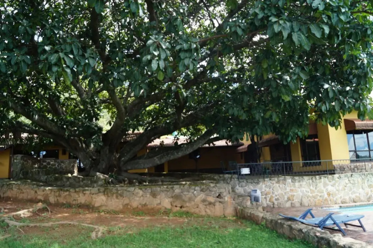 Klipspringer Lodge