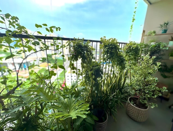 3 Bedrooms Family Apartment with balcony and with city view