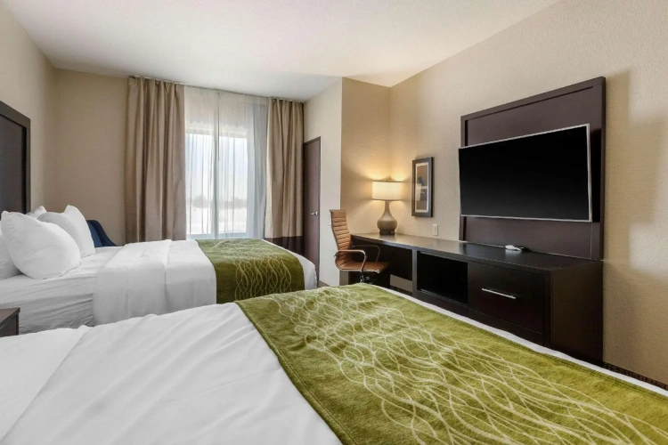 Standard Quadruple room