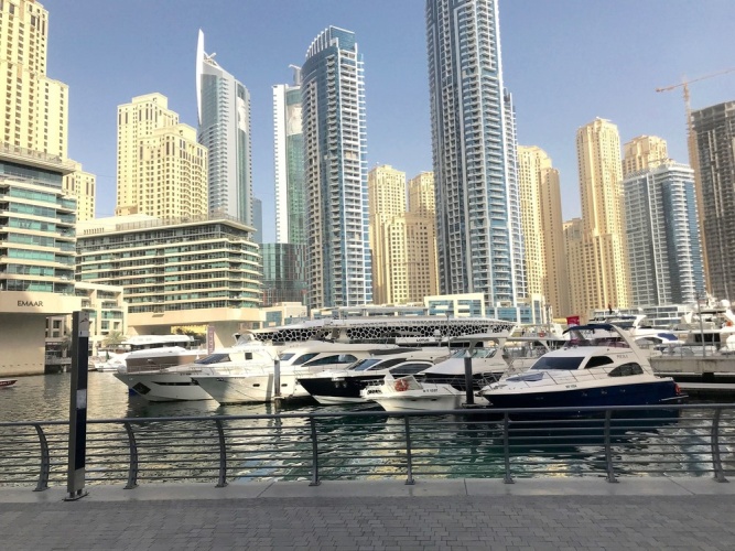 Studio Apartment - Silverene Tower B - MSG 8766