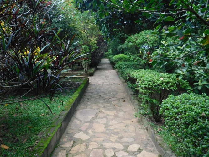 Cottage