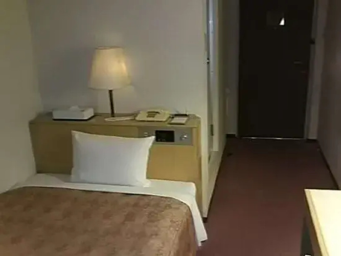 Isehara Daiichi Hotel