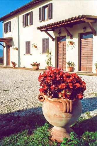 The Cornflower Apartment in a Farmhouse