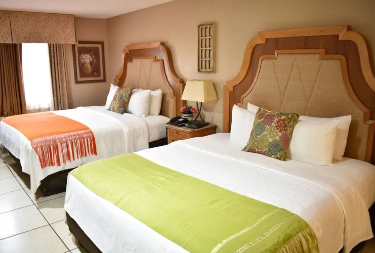 1 Bedroom Standard Double room