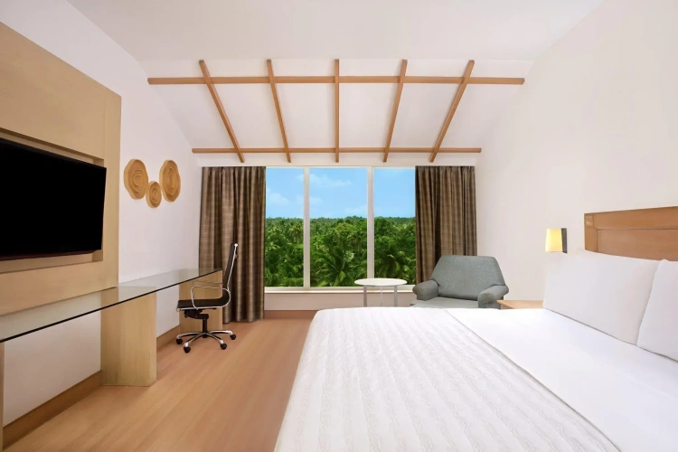 Deluxe Double room with city view