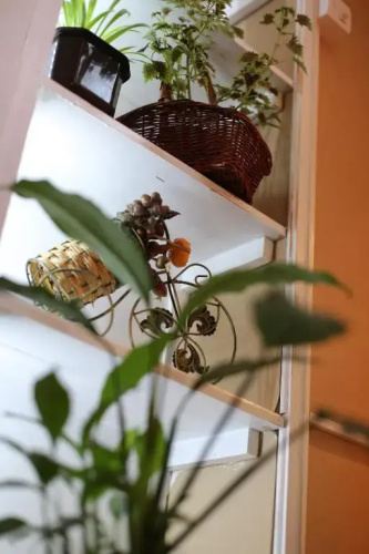 Magic Apartment