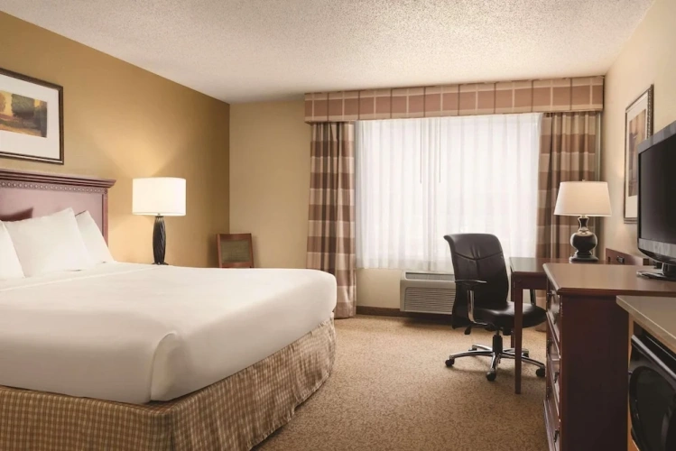 1 Bedroom Suite