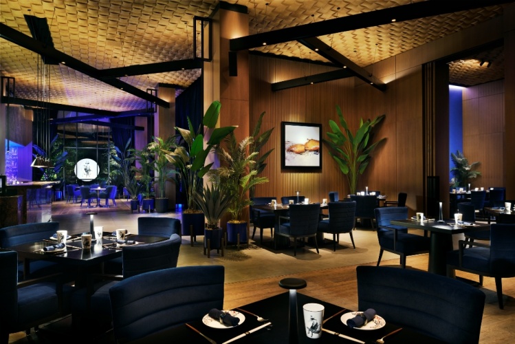 Caesars Resort Bluewaters Dubai photo 21