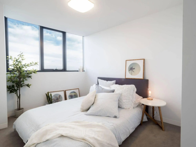 LittleStay Collection - STK
