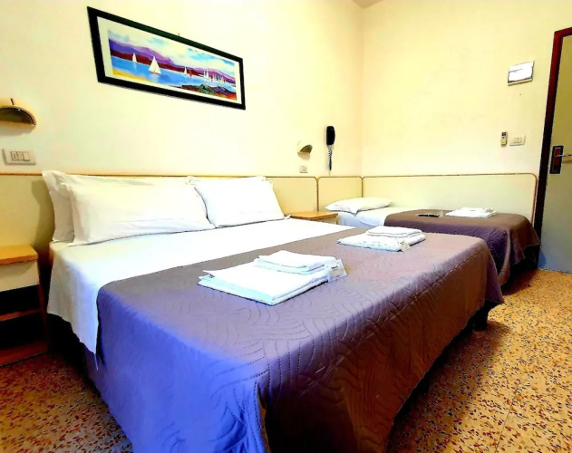 Lively Hotel