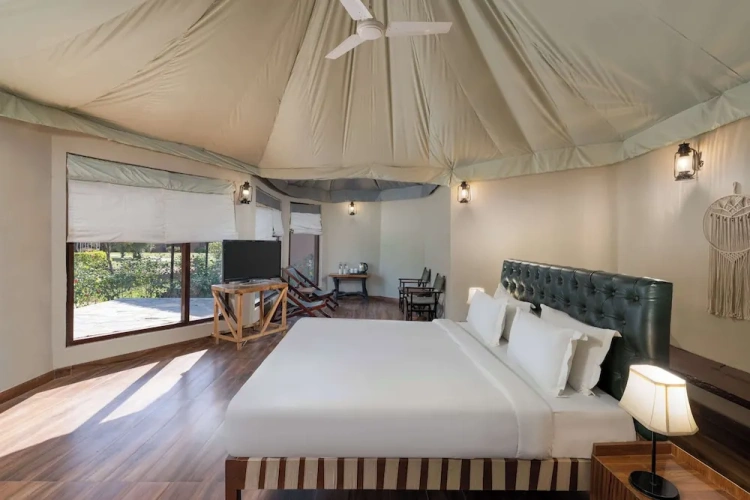 Premium room