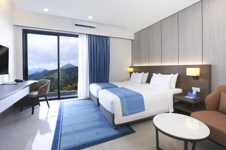 Deluxe Grand Twin room