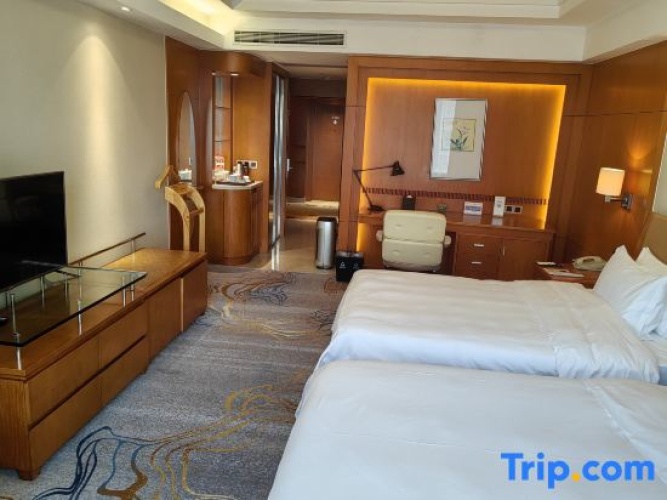 Deluxe Twin room with city view
