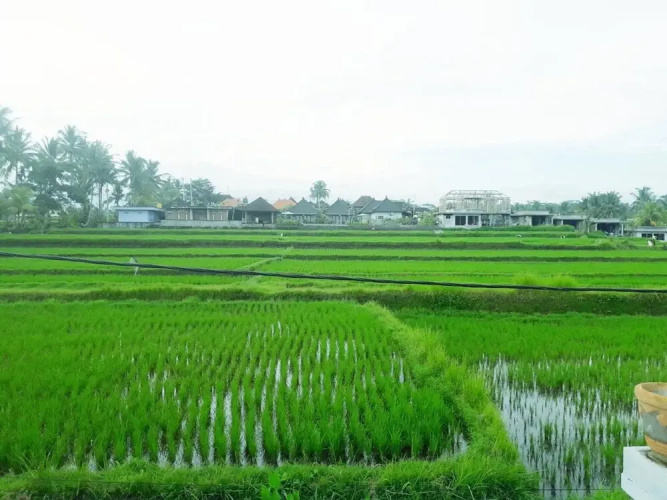 Tantra House Ubud
