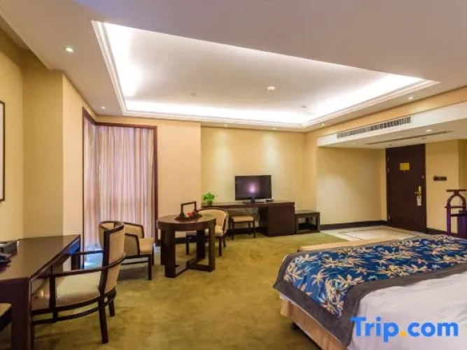 Comfort Suite