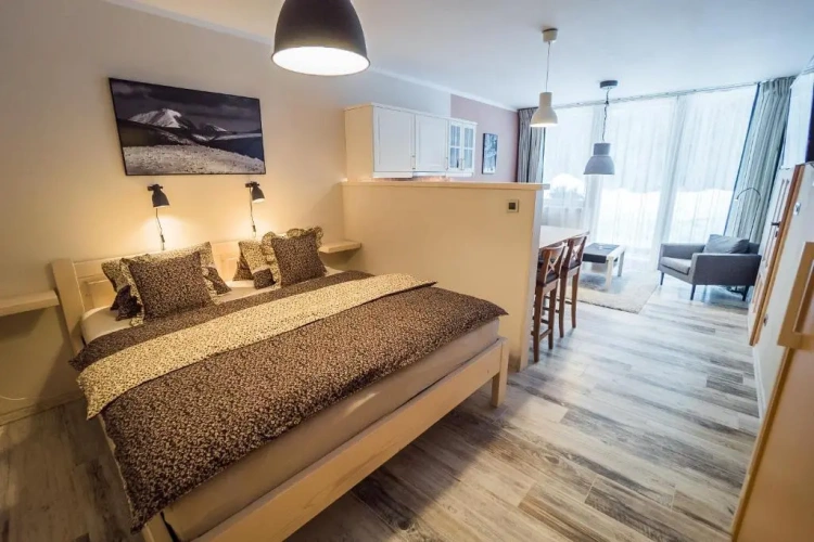 1 Bedroom Apartment