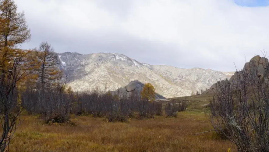 My Mongolia Eco Ger Camp