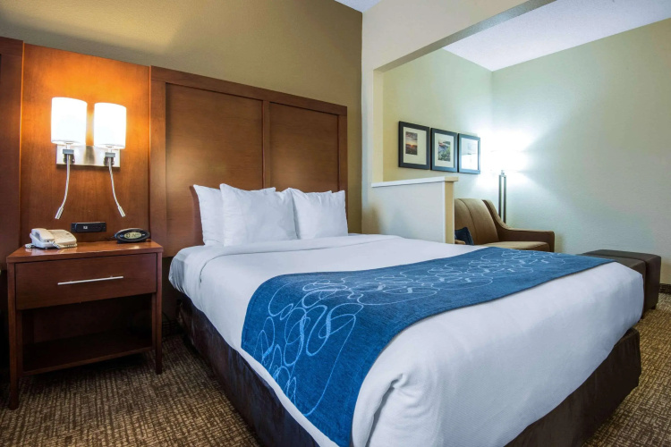 Comfort Suites Rochester Henrietta University Area